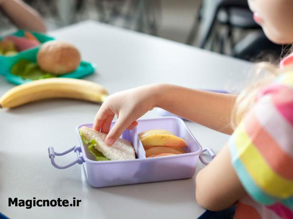 ظرف غذای بادوام و آسان بازشو کودک و دانش آموز